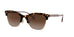 Coach HC8277 L1113 Sunglasses