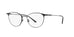 Polo PH1174  Eyeglasses