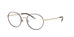 Polo PH1193  Eyeglasses