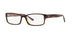 Polo PH2065  Eyeglasses