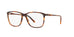 Polo PH2138  Eyeglasses