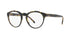 Polo PH2175  Eyeglasses