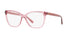 Polo PH2183  Eyeglasses