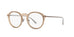 Polo PH2188  Eyeglasses