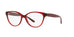 Polo PH2196  Eyeglasses