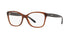 Polo PH2198  Eyeglasses