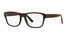Polo PH2199  Eyeglasses