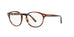 Polo PH2208  Eyeglasses