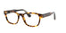 Polo PH2214  Eyeglasses
