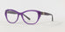 Ralph Lauren RL6187  Eyeglasses
