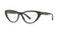 Ralph Lauren RL6188  Eyeglasses