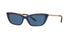 Ralph Lauren RL8173  Sunglasses