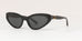 Ralph Lauren RL8176  Sunglasses