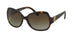 Tory Burch TY7059  Sunglasses