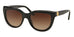 Tory Burch TY7088  Sunglasses